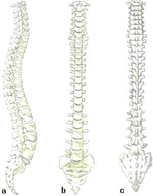 k5